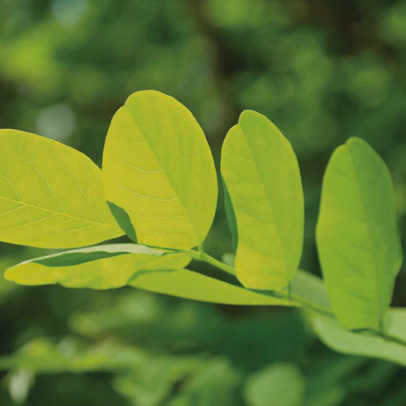 Nature and responsible resource use