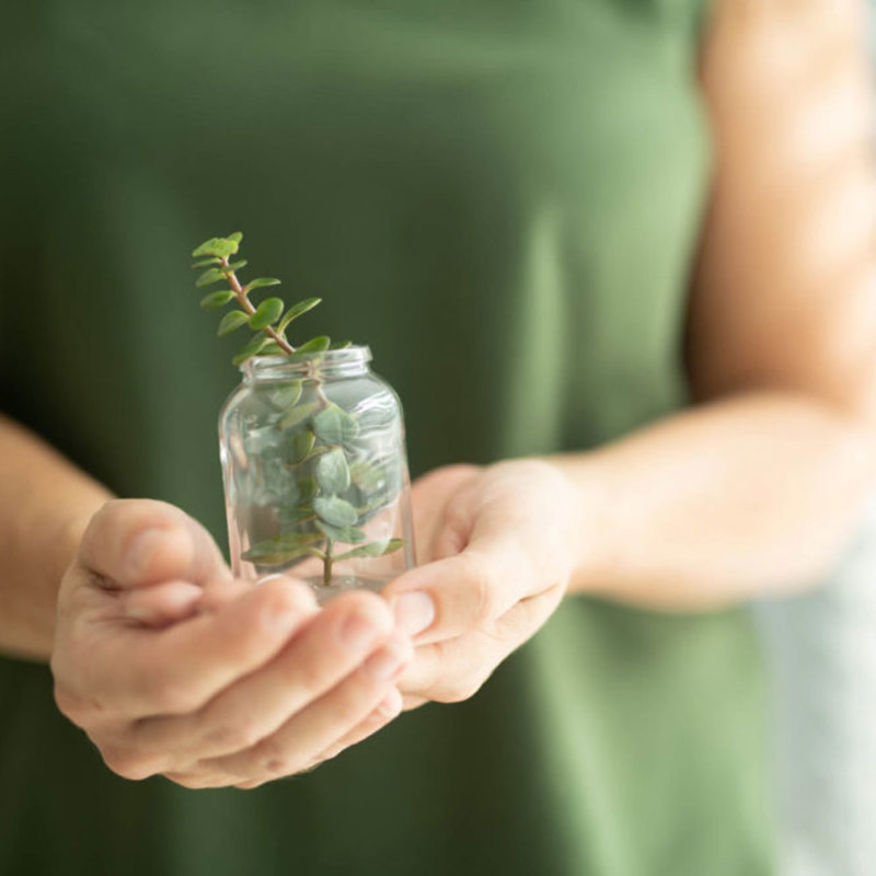 A glass vessel in a green setting